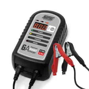 12v 6 Amp Electronic Smart Charger