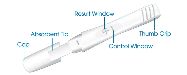 Accurate Pregnancy Test Kit ~ Single