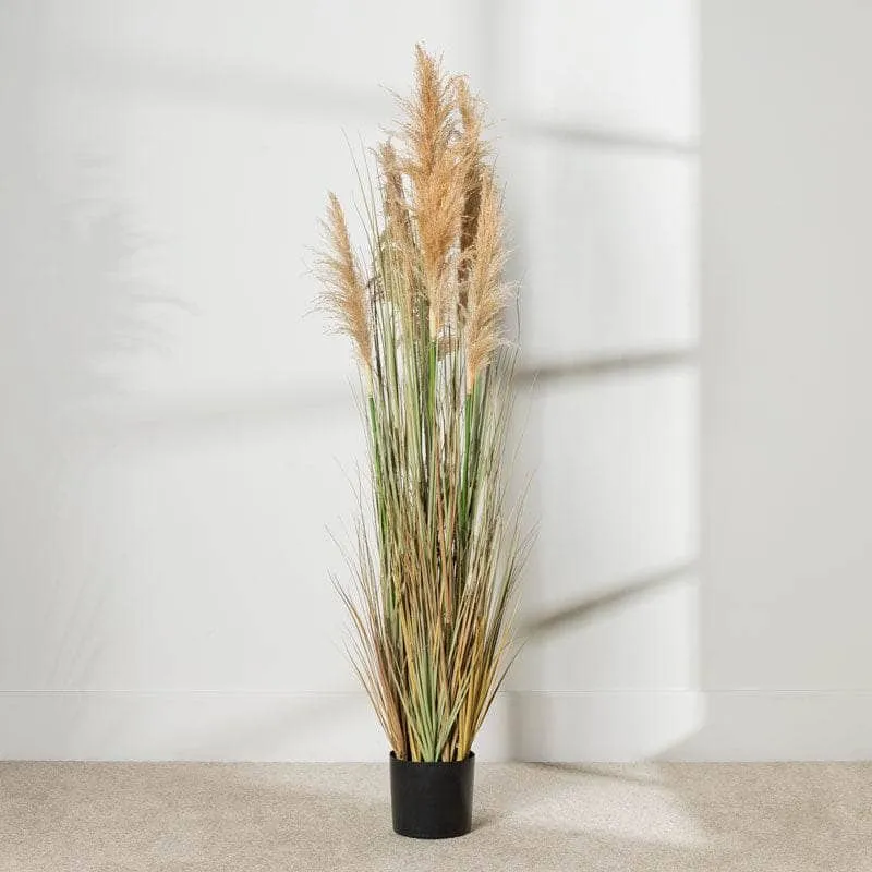 Artificial Eremurus Grass With Plastic Pot - 152cm